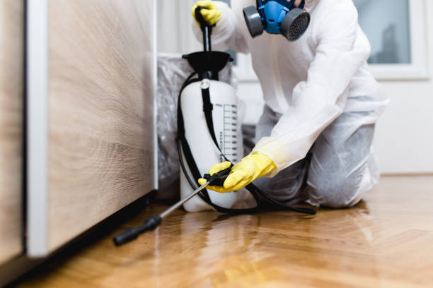 Best Best Pest Control Companies  in Rochester, MI