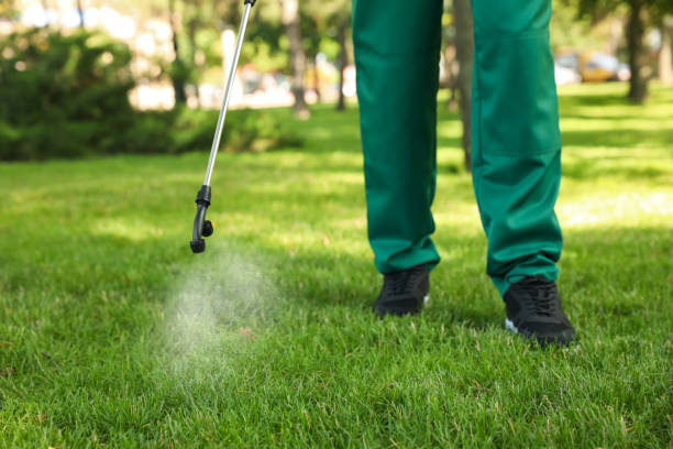 Best Local Pest Control Services  in Rochester, MI