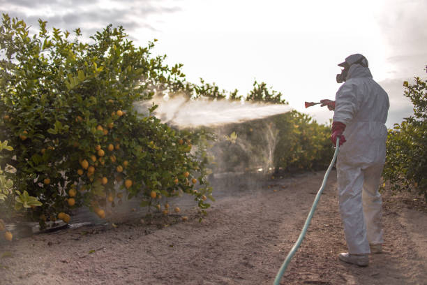  Rochester, MI Pest Control Pros