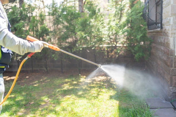 Flea Control Services in Rochester, MI