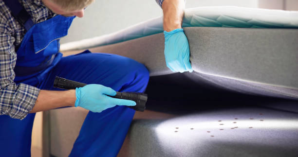 Best Cockroach Control Services  in Rochester, MI