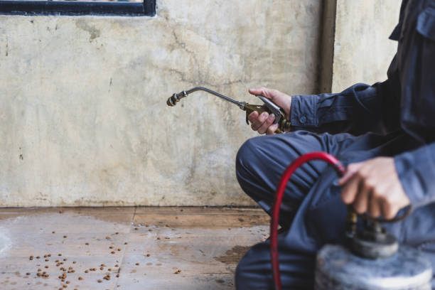 Best Affordable Pest Control Services  in Rochester, MI
