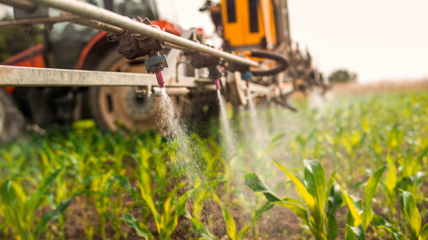 Best Best Pest Control Companies  in Rochester, MI
